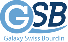 LOGO GSB